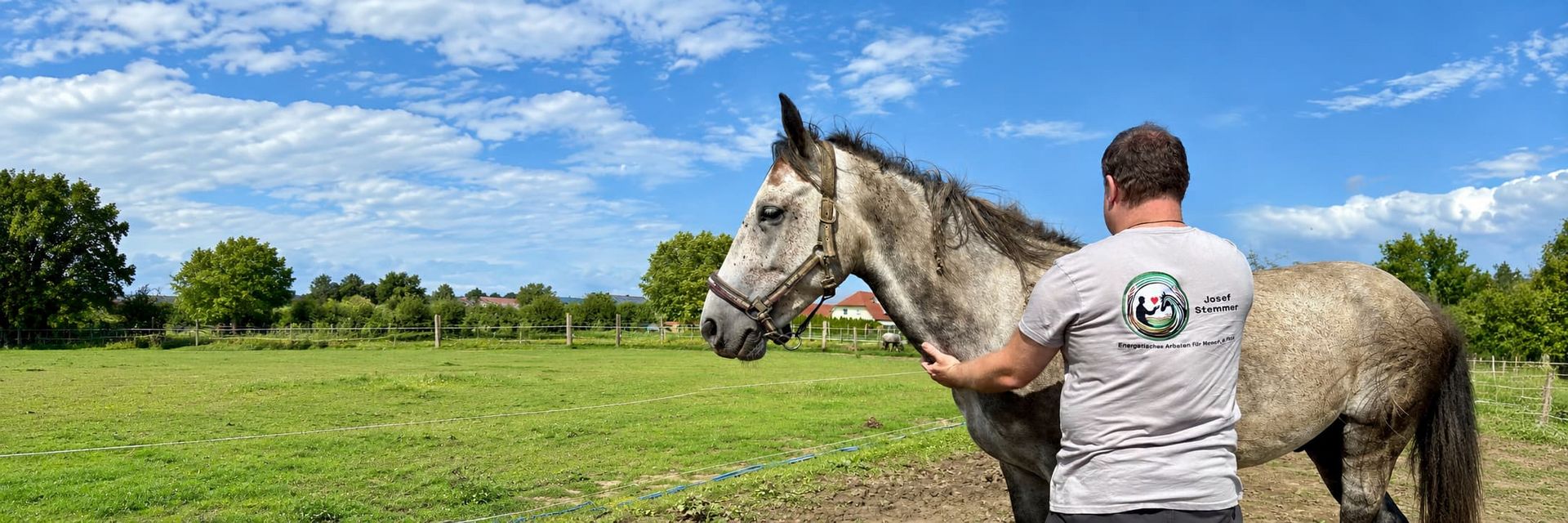 Josef Stemmer behandelt ein Pferd auf einer grünen Weide bei schönem Wetter