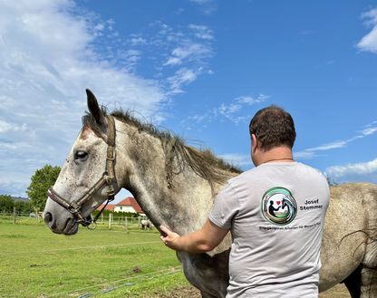 Josef Stemmer untersucht ein Pferdebein in ländlicher Umgebung.
