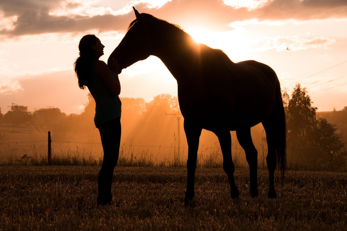 Frau und Pferd stehen sich im Gegenlicht der Abendsonne gegenüber